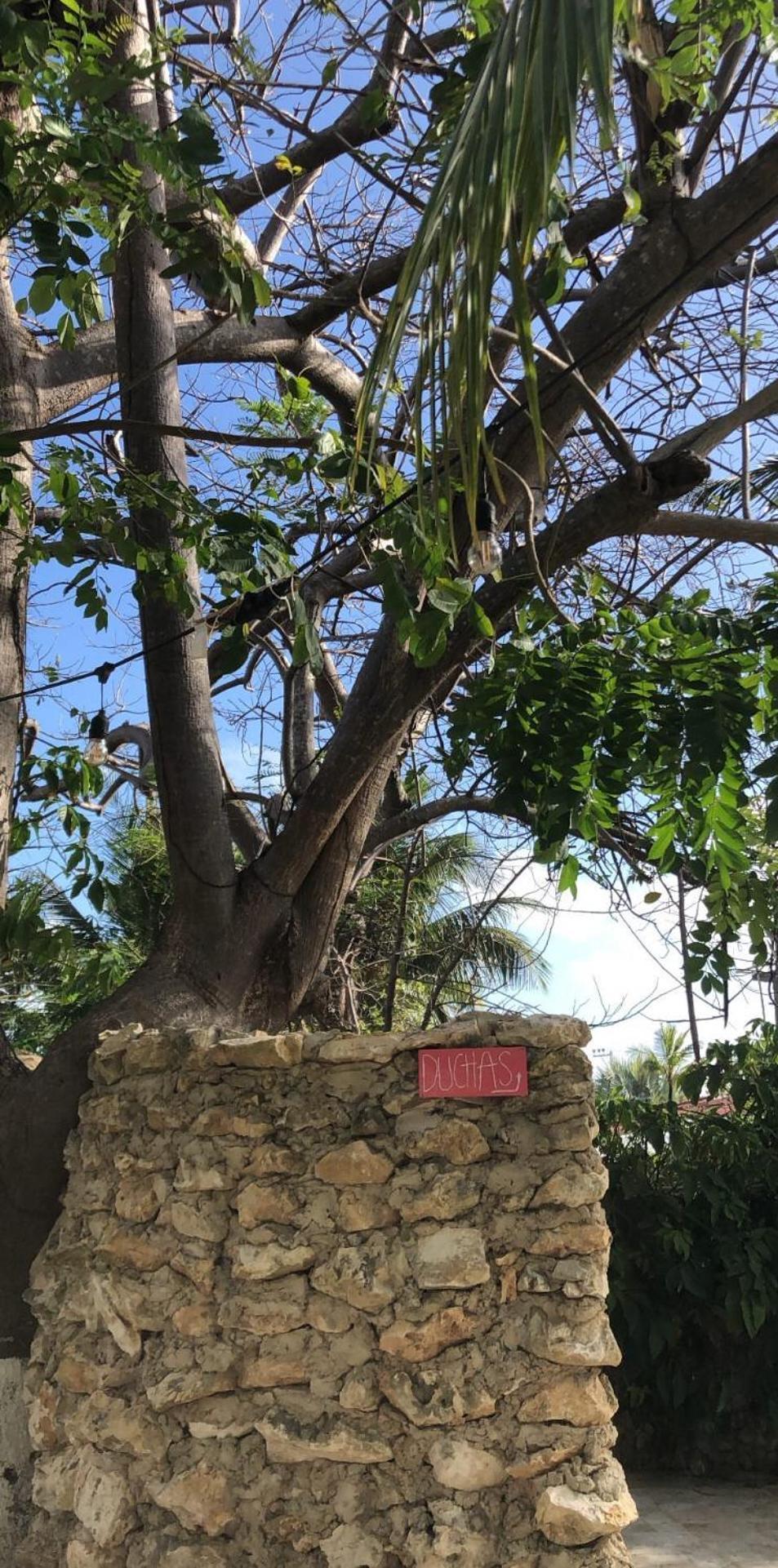Villa Casona La Carolina San Andrés Exterior foto