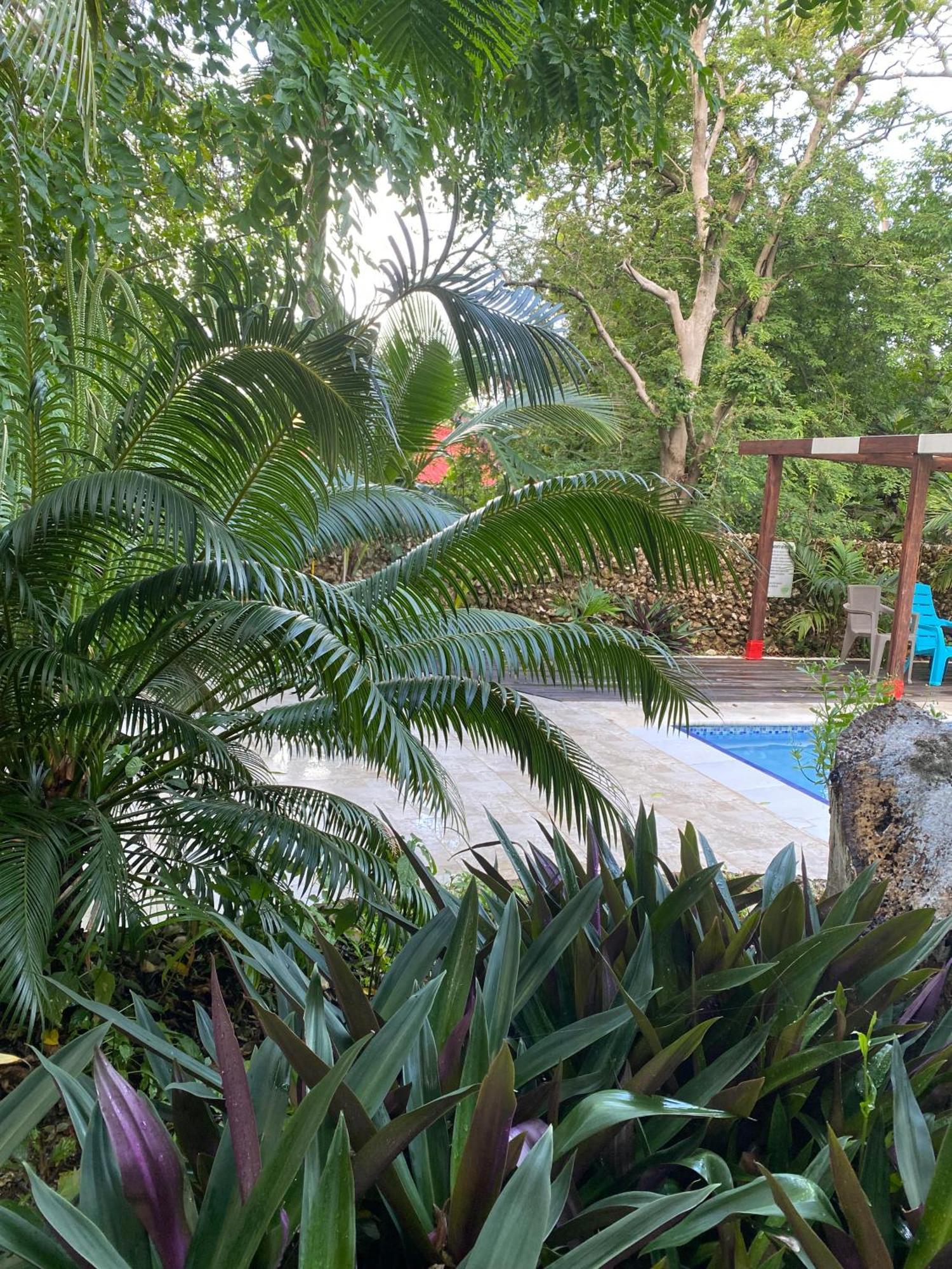 Villa Casona La Carolina San Andrés Exterior foto